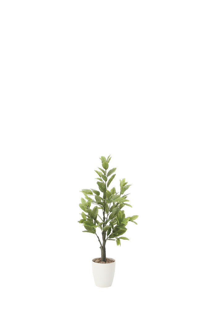 【直送品・大感謝価格 】光触媒人工植物 光の楽園 2018 レモン1.0 818A150 W43×D43×H100cm【別途送料が発生する場合あり・ラッピングは有料(不可の場合あり)】|ヘルシー救急BOX