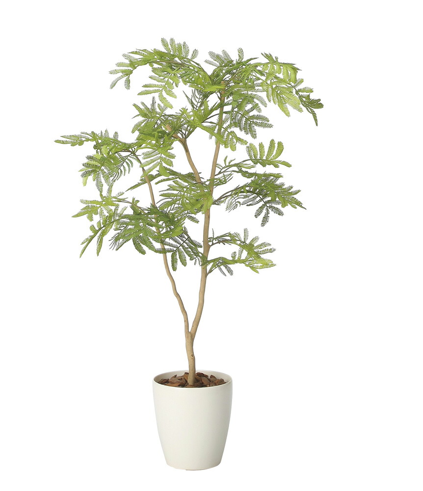 【直送品】ねむの木90 ポリ製 2428A150 W60&times;D40&times;H90cm 光触媒人工植物 光の楽園 2024【割引不可品】インテリア 人工観葉植物 アートフラワー ギフト 贈り物 花｜ヘルシー救急ＢＯＸ 11,715円