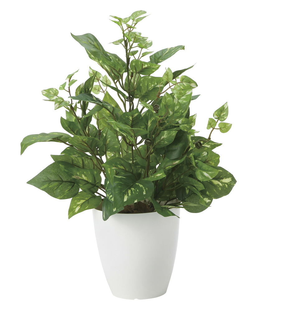 【直送品】ポトスL 2449A50 W35×D30×H47cm 光触媒人工植物 光の楽園 2024【割引不可品】インテリア 人工観葉植物 アートフラワー ギフト 贈り物 花