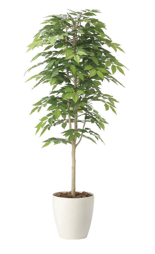 【直送品】ケヤキ1.6 2465A380 W70×D70×H160cm 光触媒人工植物 光の楽園 2024【割引不可品】インテリア 人工観葉植物 アートフラワー ギフト 贈り物 花