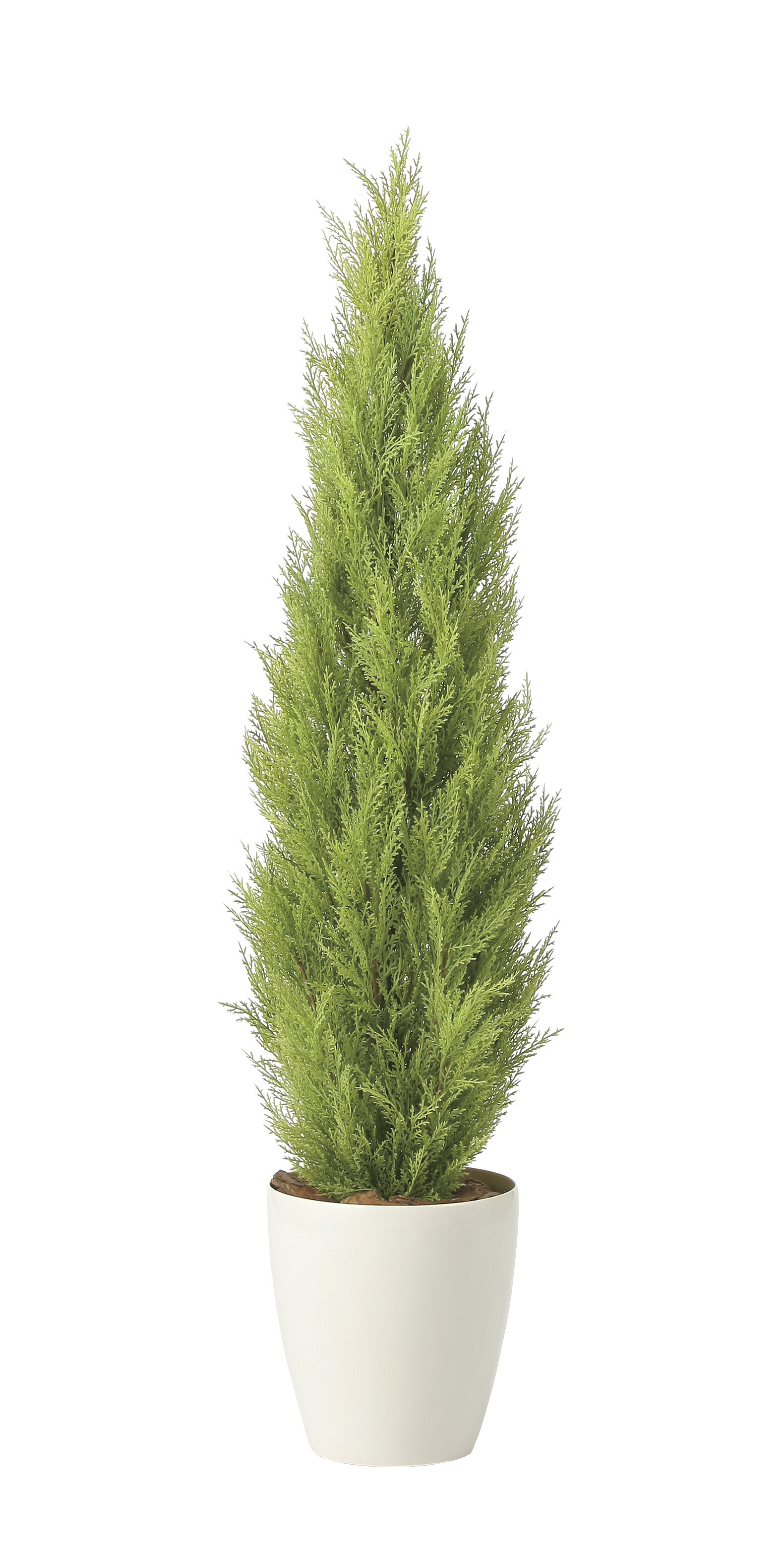 【直送品】ゴールドクレスト1.35 ポリ製 2467A400 W30×D30×H135cm 光触媒人工植物 光の楽園 2024【割引不可品】インテリア 人工観葉植物 アートフラワー ギフト 贈り物 花