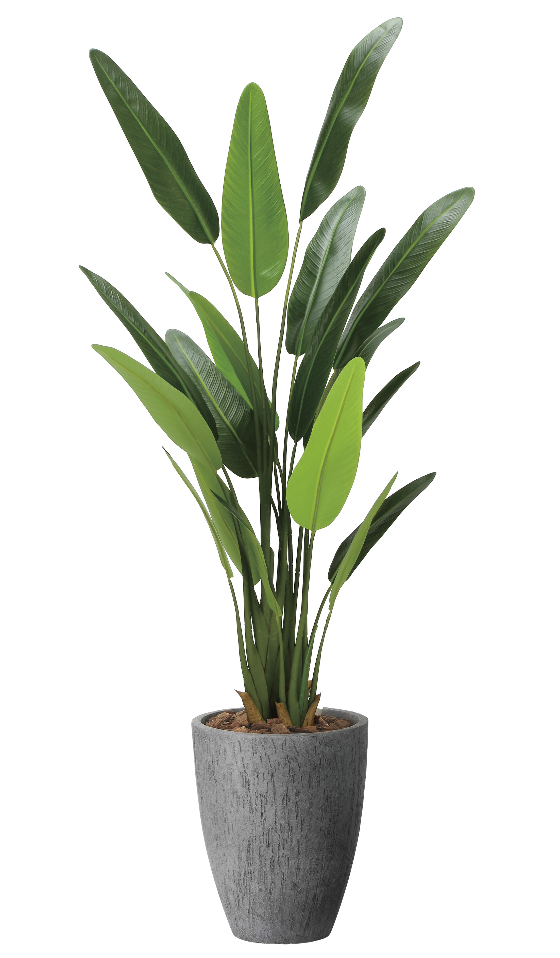 【直送品】ナチュラルトラベラーズパーム1.6 2486A540 W70×D55×H160cm 光触媒人工植物 光の楽園 2024【割引不可品】インテリア 人工観葉植物 アートフラワー ギフト 贈り物 花