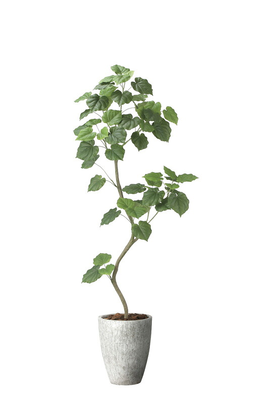 【直送品】ナチュラルウンベラータ1.9 組立式 2499A740 W70&times;D65&times;H190cm 光触媒人工植物 光の楽園 2024【割引不可品】インテリア 人工観葉植物 アートフラワー ギフト 贈り物 花｜ヘルシー救急ＢＯＸ