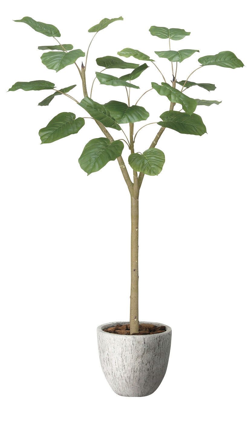 【直送品】ナチュラルウンベラータ1.5 2503A400 W60×D50×H150cm 光触媒人工植物 光の楽園 2024【割引不可品】インテリア 人工観葉植物 アートフラワー ギフト 贈り物 花