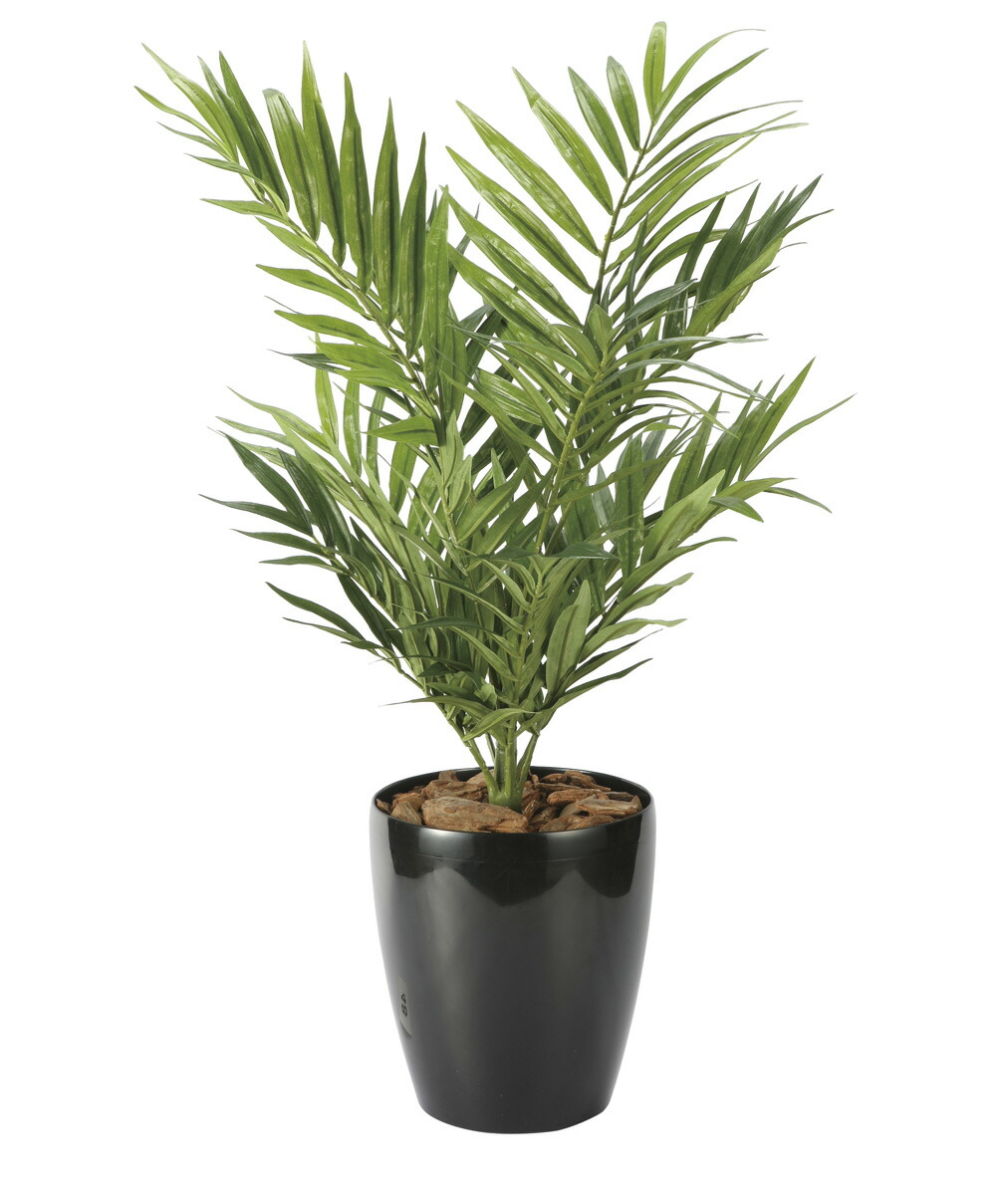 【直送品】パーラーパーム 2621A85 W40×D40×H70cm 4516744362602 光触媒 光の楽園 2026【割引不可品】インテリア フェイクグリーン 人工観葉植物 アートフラワー ギフト 贈り物 花