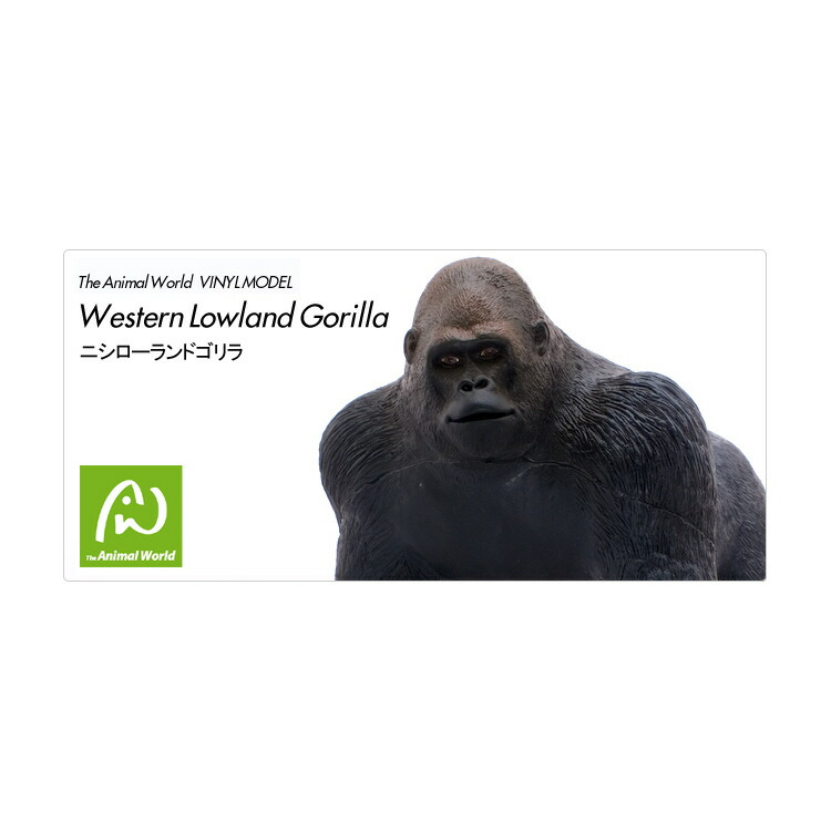 楽天市場 直送品 大感謝価格 ニシローランドゴリラ ビニールモデル ヘルシー救急ｂｏｘ
