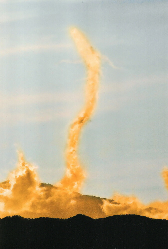 楽天市場】奇跡の写真 秋元隆良 鵬(おおとり) 【割引不可品】【15-20