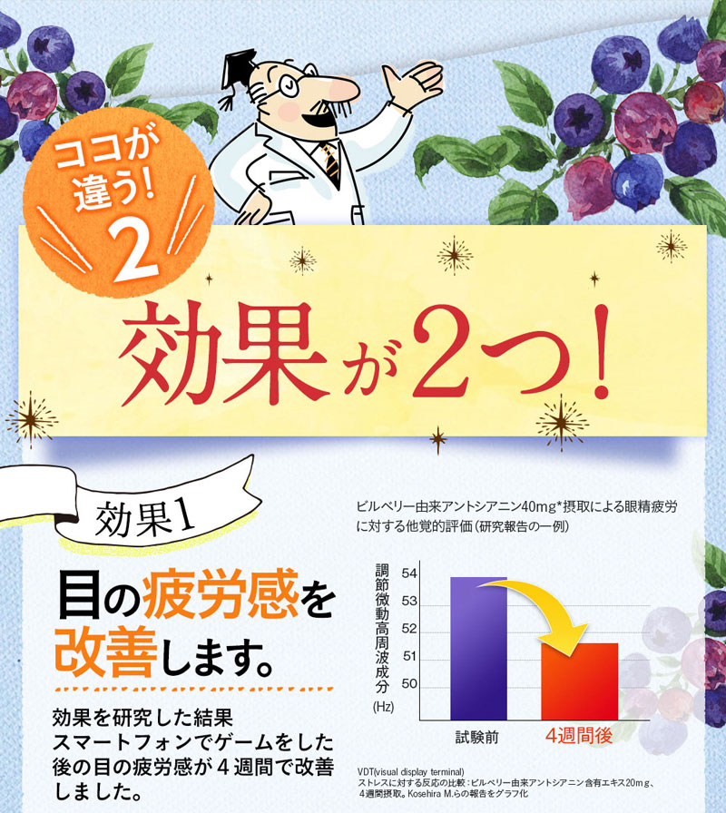 楽天市場 6個購入で1個多くおまけ ネコポス 機能性表示食品 ブルーベリー ルテイン 31粒 ヘルシ価格 健康食品 サプリメント 目の疲労 目の健康 ブルーベリー ヘルシー救急ｂｏｘ