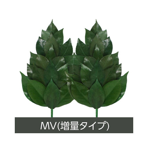 【2個セット】Ａ＆Ｋ プリザーブド榊 MVサイズ：FS-011ML 1対 x 2【ヘルシ価格】プリザーブド加工 丹波産の天然椿葉を使用 仏壇 仏具 さかき