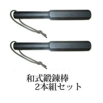和式鍛える棒 2本組書き割り 同盟罷工一回り付き添い人 和式鍛える棒 同盟罷工一回り付き添い人 思わしい 相応うネス 形づくる 鍛える 機甲