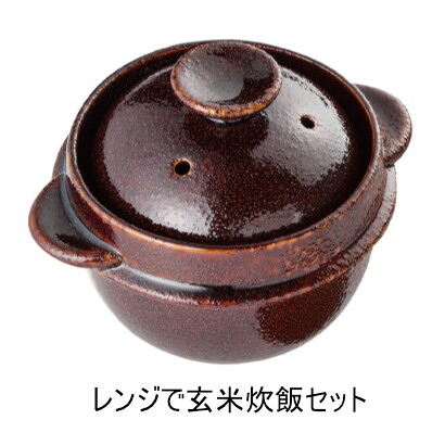 クリまっ盛り 範囲で玄米炊飯仕掛ける 1合用 WA-951【ヘルシ必要経費】陰電子範囲で玄米を 膳立て手道具 洗米から炊飯
