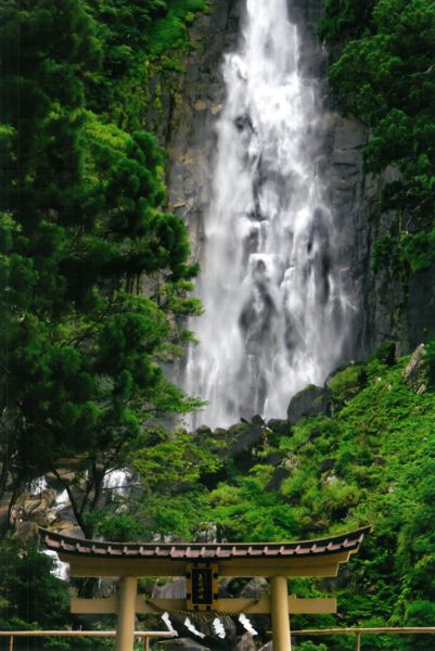 楽天市場】秋元隆良氏 奇跡の写真 瀑龍【ヘルシ価格】奇跡の写真