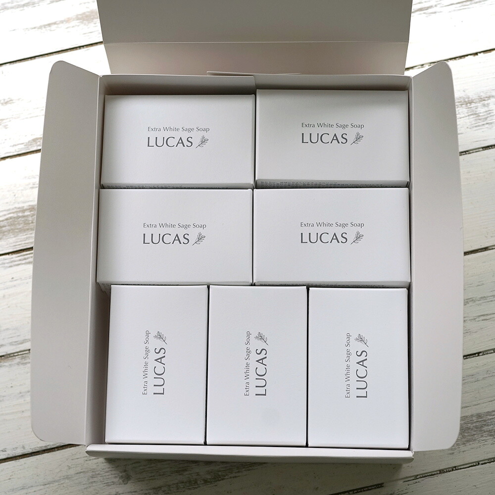 LUCAS益荒男石ケン 14個 差し上げ物ボックス席入り口・入口 LUCAS白いことサルヴィア体制斎戒もく浴用石ケン 益荒男石ケン 差し上げ物 上半身世話をする