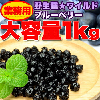 【直送品】野生種 ワイルドブルーベリー大容量１ｋｇ常温【ヘルシ価格】 ドライフルーツ レーズンの変わりに<br>