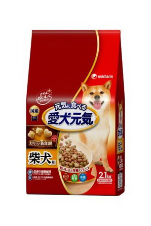 【大有りがたさ通貨価値】【4個仕掛ける】愛犬甲斐甲斐しい 柴犬用 2.1kg×4個