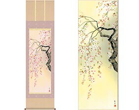 【大感謝価格 】掛軸 桜花爛漫 森山観月 筆｜ヘルシー救急ＢＯＸ