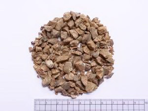 15640円 数量限定セール ナツメッグ 500g