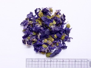 マルバフラワー 1000g【銀行割引不可、返品とり止める不可品】