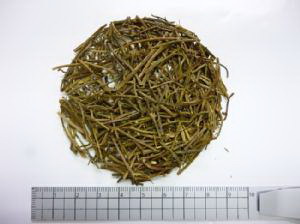 甘茶蔓茶 1000g【割引不可、返品キャンセル不可品】|ヘルシー救急BOX