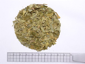 笹の葉茶 1000g【割引不可、返品キャンセル不可品】｜ヘルシー救急ＢＯＸ
