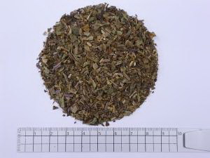 国産連銭草 1000g【割引不可、返品キャンセル不可品】