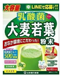 【10個セット】乳酸菌大麦若葉粉末 4g×60包x10個セット【返品キャンセル不可品】【ヘルシ価格】 ダイエット食品 健康食品 ドリンク 青汁 乳酸菌大麦若葉粉末