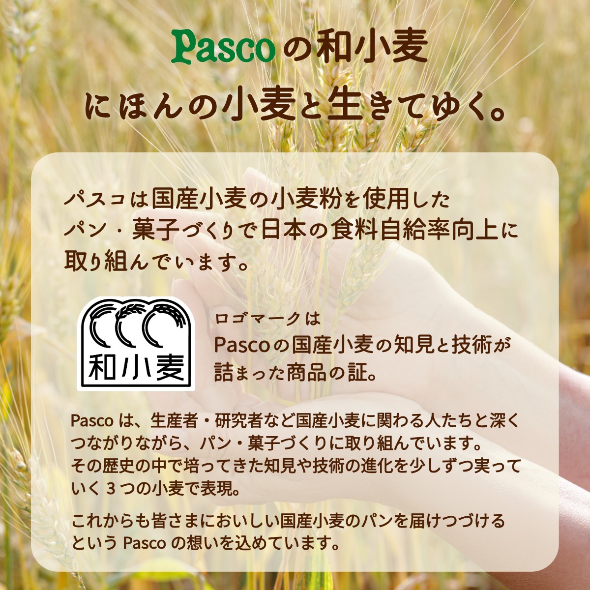 【ポイント10倍(~10/1 23:59)】Pasco ロングライフブレッド 食べくらべセット 10種10個入 | パスコ パン ロングライフ 菓子パン 惣菜パン 長期保存 日持ち 長持ち 常温 防災 備蓄 非常食 お試し 詰め合わせ 仕送り 買い置き 国産小麦