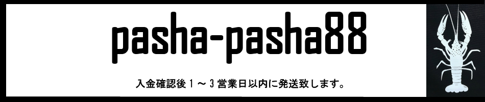 楽天市場 安全ピン 病みかわいい 病み系 メンヘラ ジップアップ パーカー サブカル ロック バンギャ 個性的 個性派 ブラック 黒 Pasha Pasha パシャパシャハチハチ Pasha Pasha