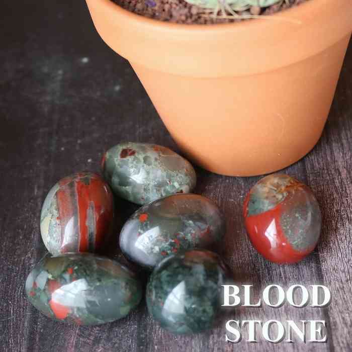 アフリカンブラッドストーン タンブル Mサイズ 1個 セフトナイト ブラッドストーン ブラッド ストーン 握り石 置物 インテリア 天然石 プレゼント 贈り物 ギフト お守り バレンタイン ホワイトデー みどり 赤オレンジ pasmii画像