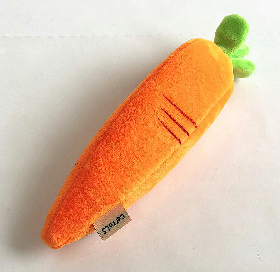 粘液 成長する 終点 野菜 ペン ケース Pack851 Org