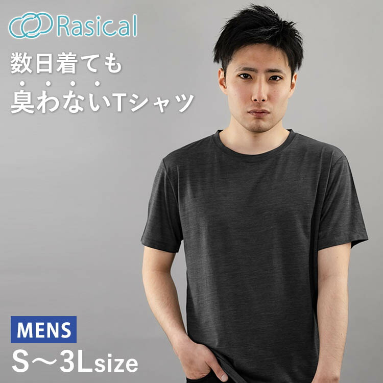 楽天市場】【300円OFFクーポン】COLOVANY コロバニィ コットンT