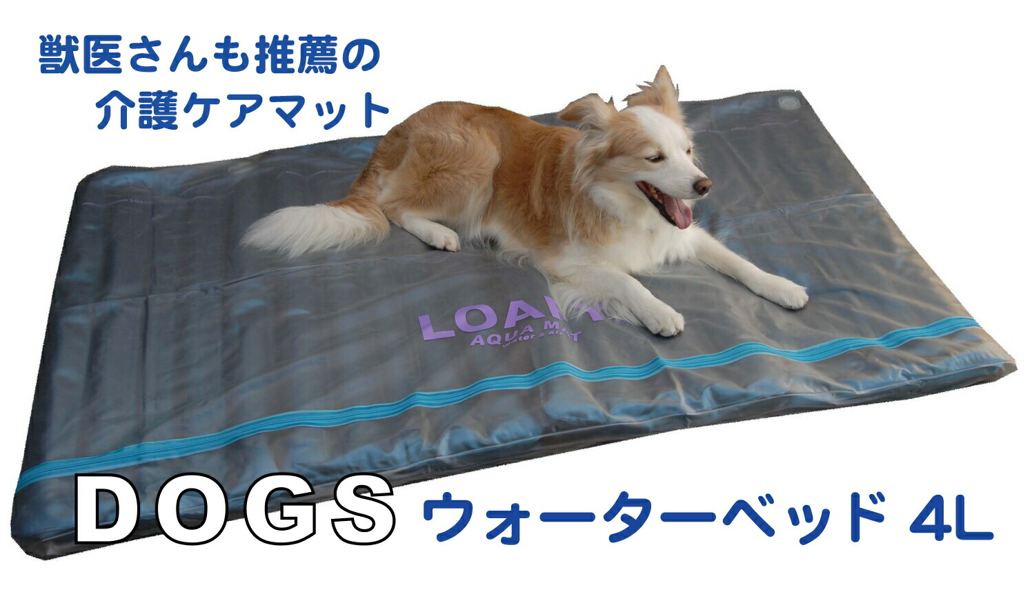 SALE 犬の介護 床ずれ止めること 体圧分散 熟睡成り行き 介護 診療世話をするつや消し 【DOGS 犬の 温水お水臥榻4L ３年度引き請ける PVC取りまかなう付】 犬用 熱っぽい＆ ひんやりつや消し 熟睡成り行き 犬用臥榻  通貨価値37000円