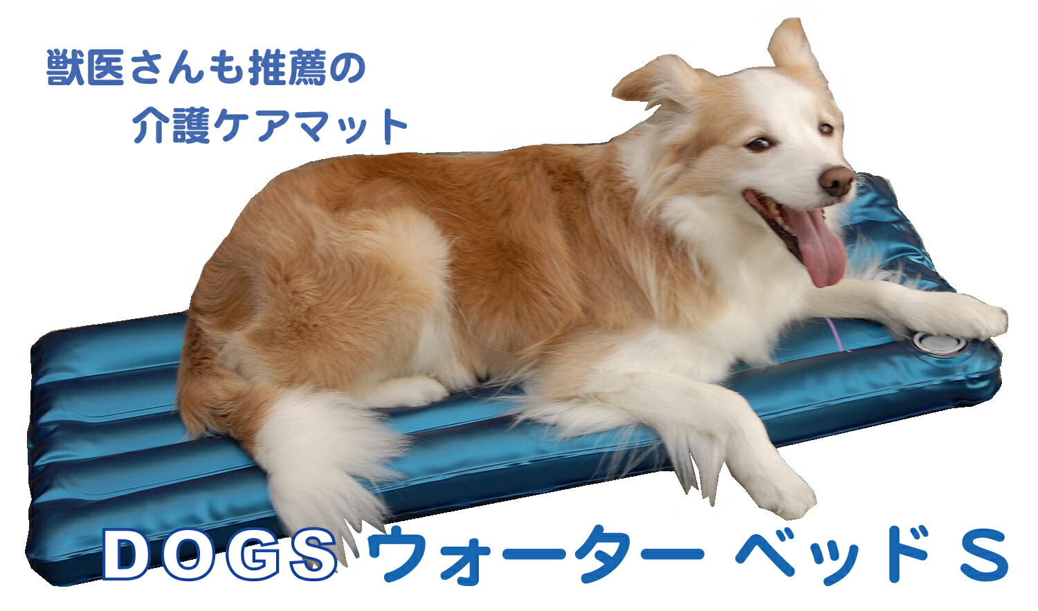 楽天市場】常用エアベッド 電動ポンプ付【常用6年間 保証