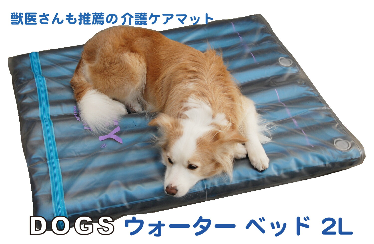 楽天市場】常用エアベッド 電動ポンプ付【常用6年間 保証 & サポート