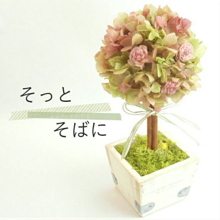 プリザーブドフラワー トピアリー ボタニカル 結婚祝い ブリザードフラワー 結婚記念日 インテリア グリーン 6000円 ブリザーブドフラワー 開店祝い お見舞い ケース付き 新築祝い 誕生日 ブリザーブド ブリザード ナチュラル かわいい おしゃれ 嫁 Educaps Com Br