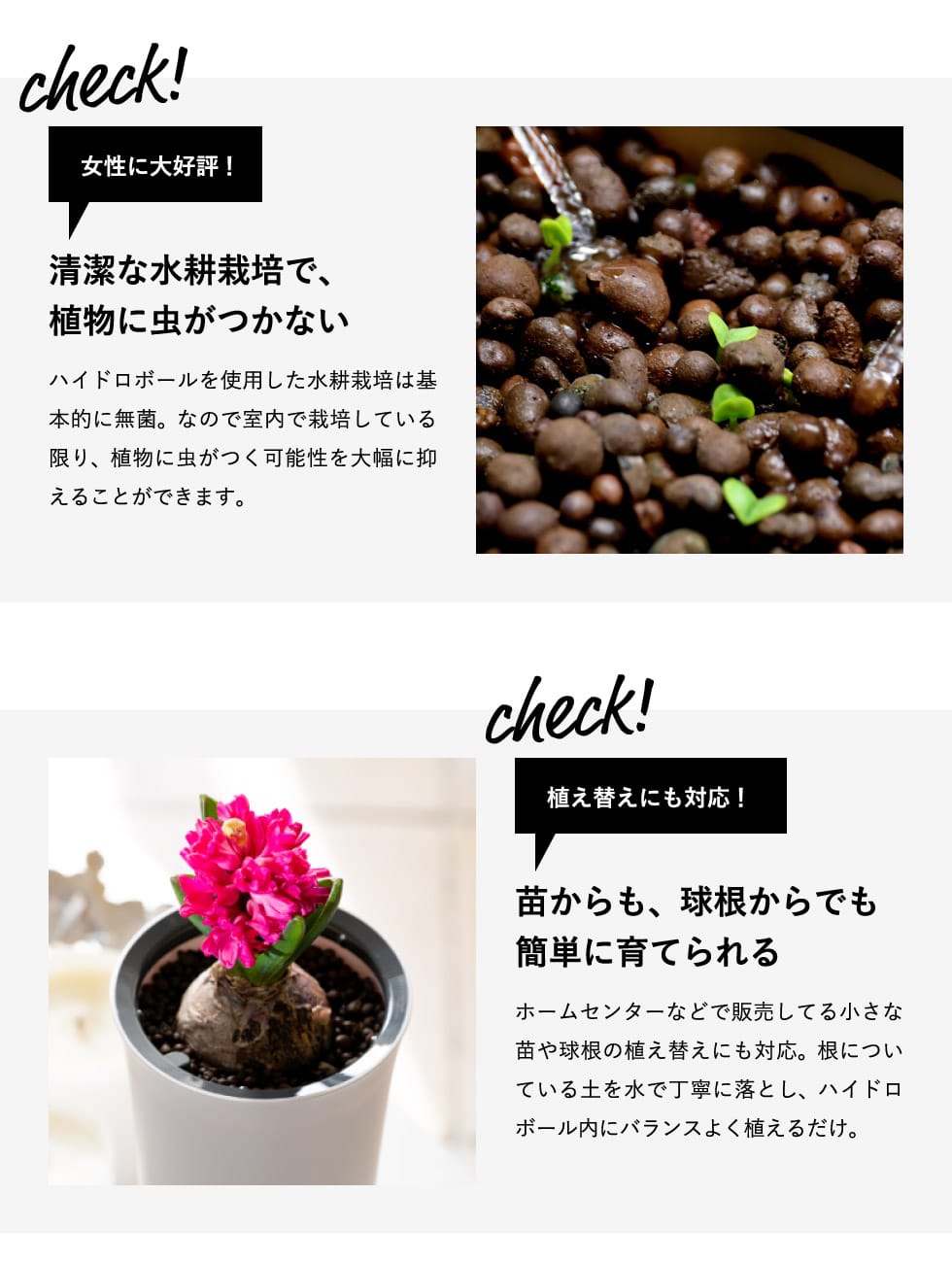 プレゼント お家 栽培セット ガーデニング 水やり Botanium あす楽一時休止中 送料無料 お部屋 水やり 新築祝い スマート水耕栽培キット スマート水耕栽培キット ボタニアム 家庭菜園 自動 プランター 植木鉢 野菜 花 植物 新築祝い敬老の日 新生活 内祝いとスイーツ プレゼント お家 栽培セット ガーデニング 水やり Botanium あす楽一時休止中 送料無料 お部屋 水やり 新築祝い スマート水耕栽培キット スマート水耕栽培キット ボタニアム 家庭菜園 自動 プランター 植木鉢 野菜 花 植物 新築祝い敬老の日 新生活 内祝いとスイーツ