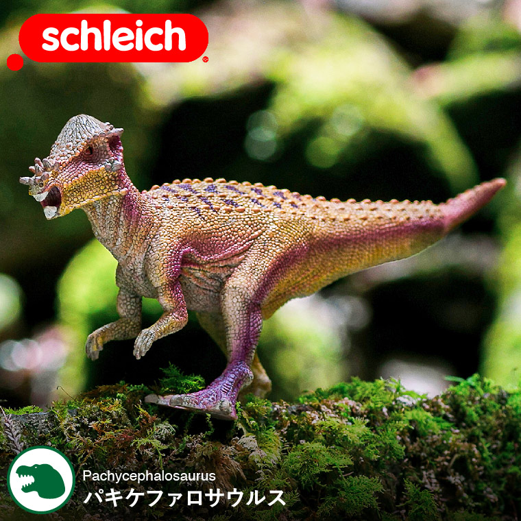 schleich シュライヒ　恐竜ダイナソー　14体 schleich シュライヒ 恐竜ダイナソー 14体 - メルカリ