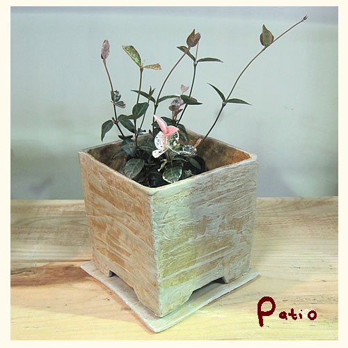 楽天市場 手作り陶器植木鉢 蔵 苔色 ガーデニング 雑貨patio