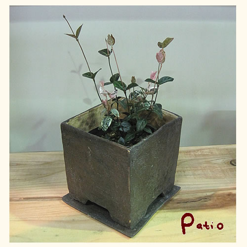 楽天市場 手作り陶器植木鉢 蔵 墨色 ガーデニング 雑貨patio