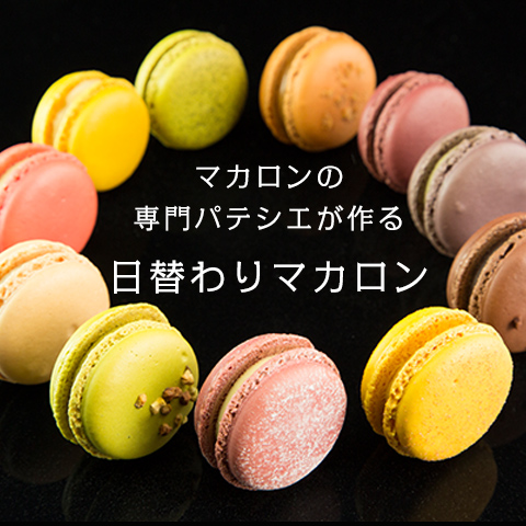 マカロン マカロンラスクショコラ 人気のマカロンラスクをチョコレートに