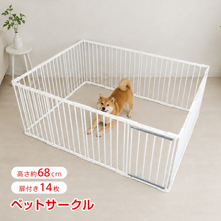 通信販売の暁厳選！手あそび特集