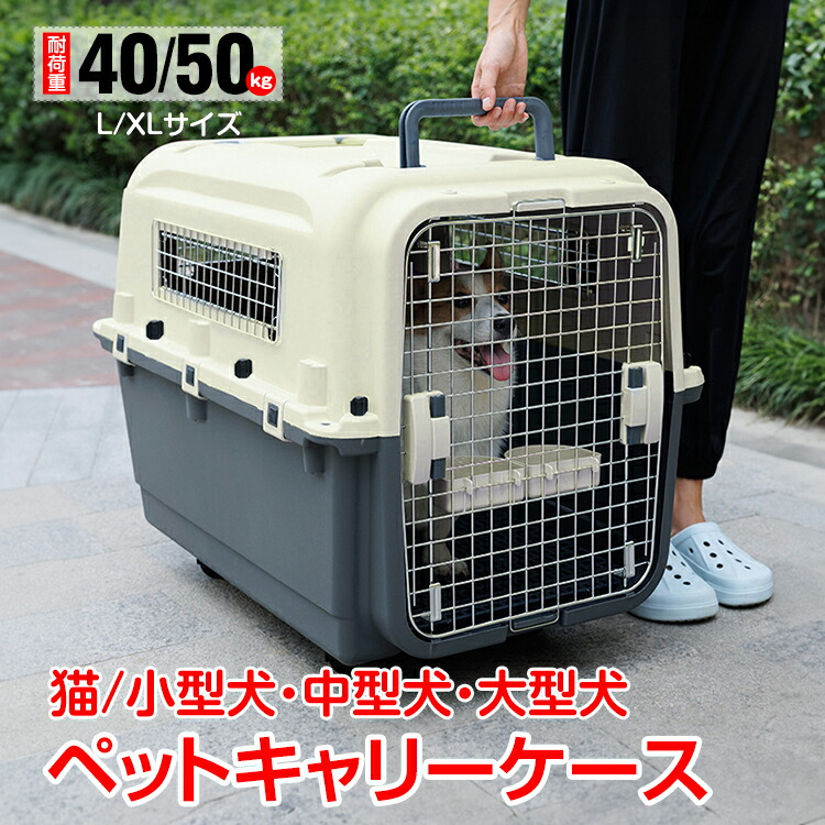 通信販売の暁厳選！手あそび特集