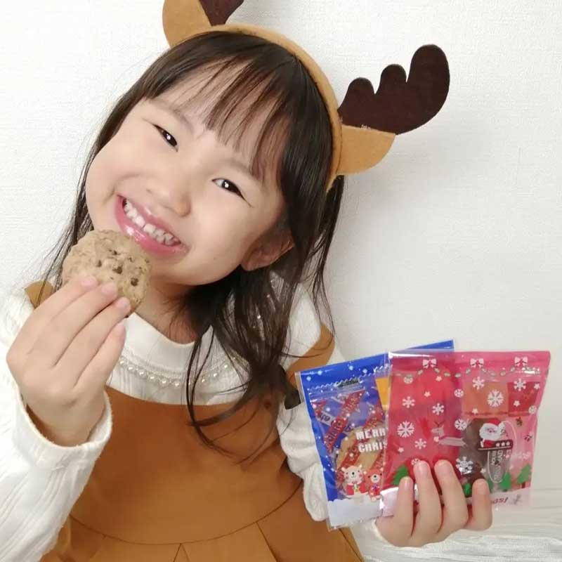 クリスマスお菓子セット 詰め合わせ 業務用 雑貨 幼稚園 女の子 小学生 誕生会 子供 サンタ 景品 子供会 プレゼント ギフト クリスマスプレゼント 配布ノベリティ