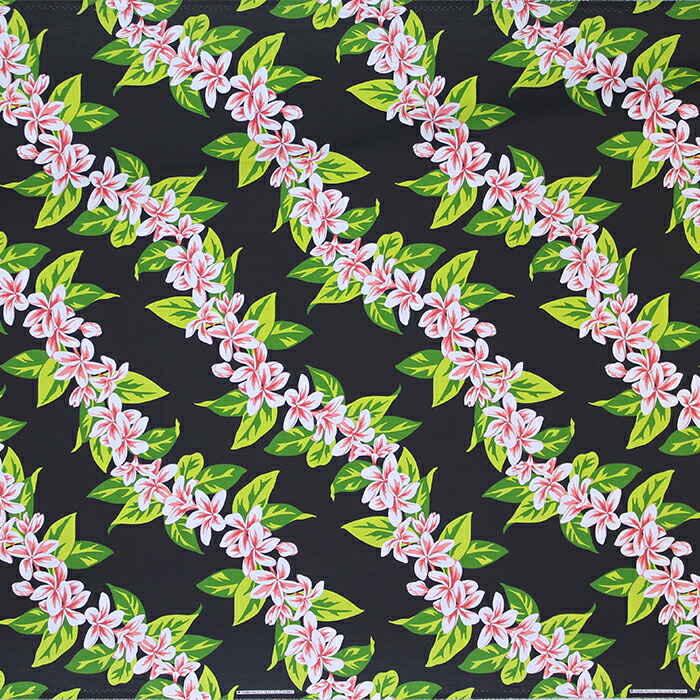 ハワイ産沖縄育ちのラウハラロール“24 Craft-Ⅸ” ハワイ産沖縄育ちのラウハラロール“24 Craft-Ⅸ”