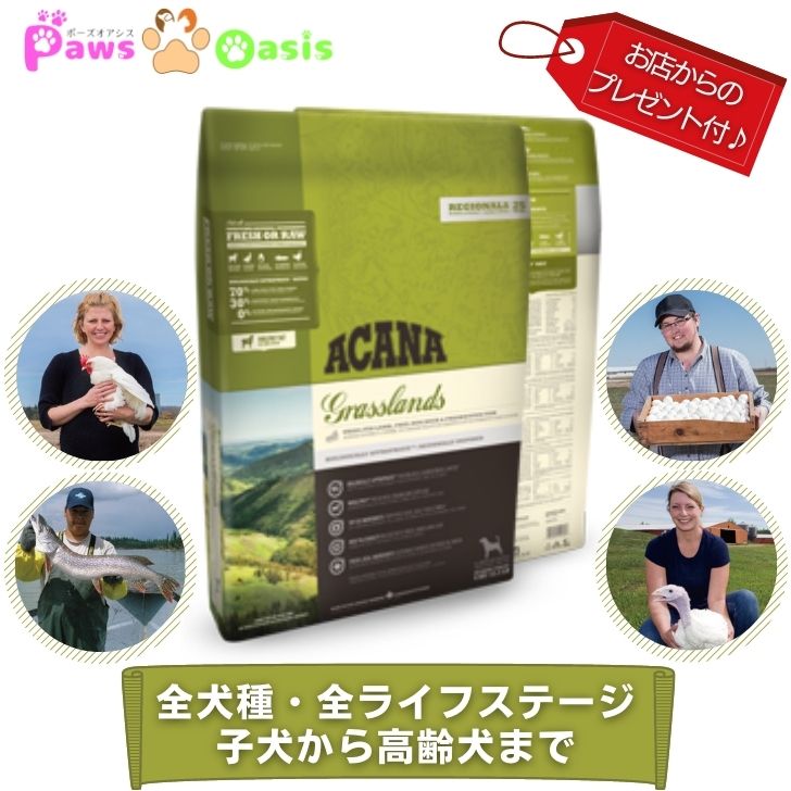 アカナ グラスフェッドラム 2ｋｇ ○送料無料○