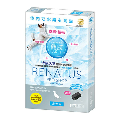 レナ送球 Renatus H体系添え物 ドッグ使道統廃合サプリ レナトスジャパン 免疫性バイタリティーをサポート 健やか食品 免疫力 全犬用 Sd 2 国産 30真珠状 Blackfishmarine Com