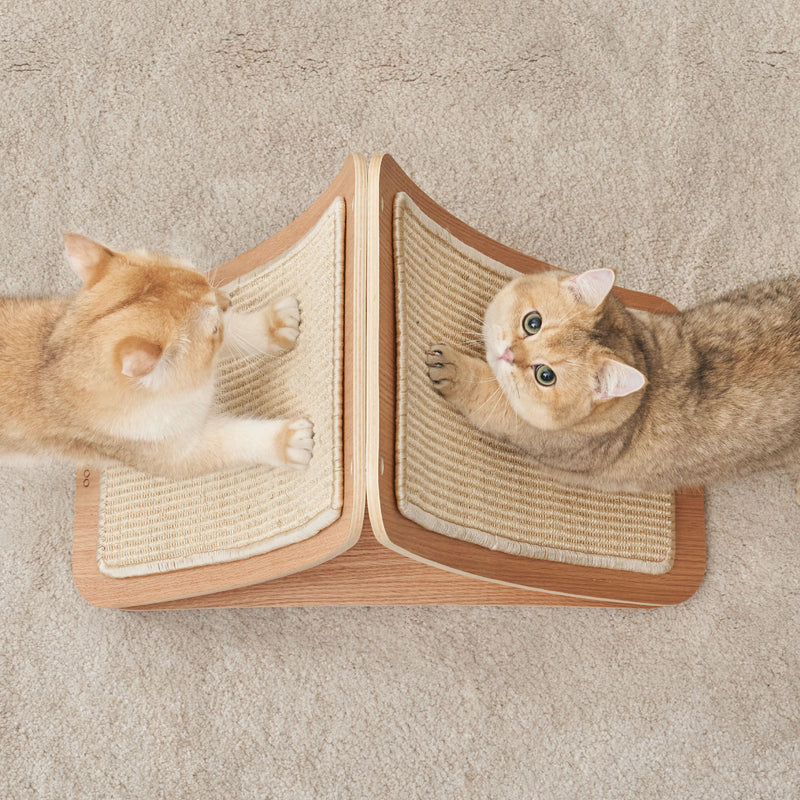 MYZOO マイズー TRIPAWS 爪とぎゲーム盤 MYZOO