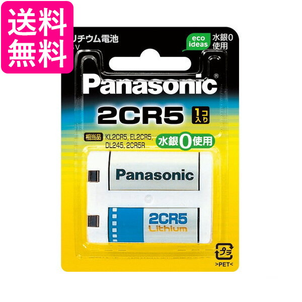 楽天市場】Panasonic CR-2032/4H コイン形リチウム電池 3V 4個入り パナソニック ボタン電池 送料無料 : Pay Off  Store