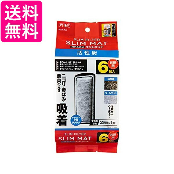 楽天市場】テトラ その他 魚 6個入 Tetra 送料無料 : Pay Off Store