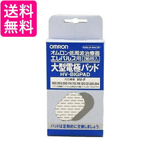 供え 10個セット オムロン HV-BIG-PAD 交換パッド 低周波治療器用 大型電極パッド エレパルス用 2組4枚入 送料無料 fucoa.cl